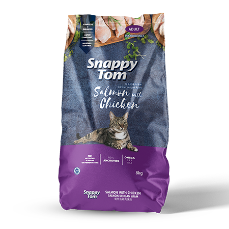 Snappy Tom Salmon with Chicken 